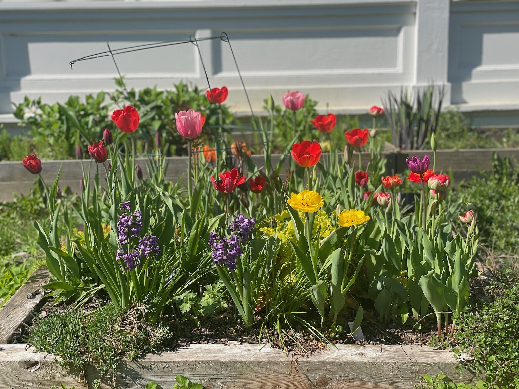 664 River Road Orrington, ME 04474 - Photo 91 of 94 IMG_6563