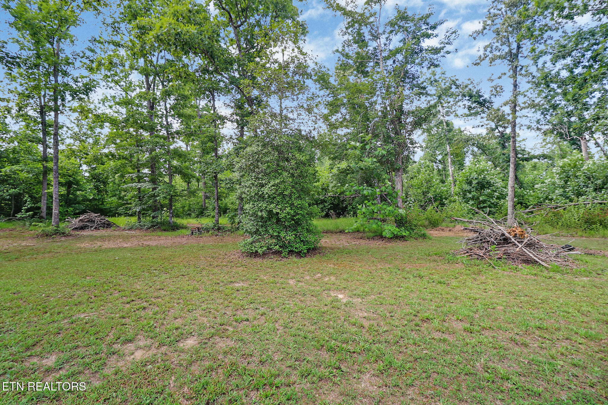 3426 Rugby Pike Jamestown, TN 38556 - Photo 45 of 46 back yard