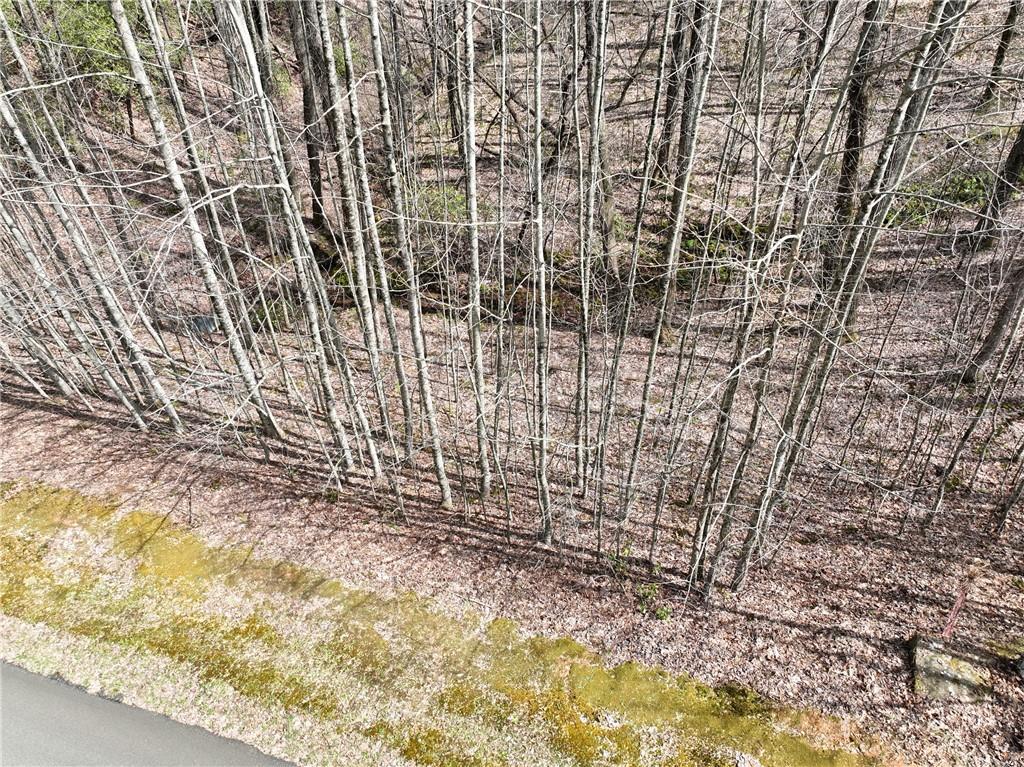 64 St. Andrews Way Jasper, GA 30143 - Photo 18 of 19
