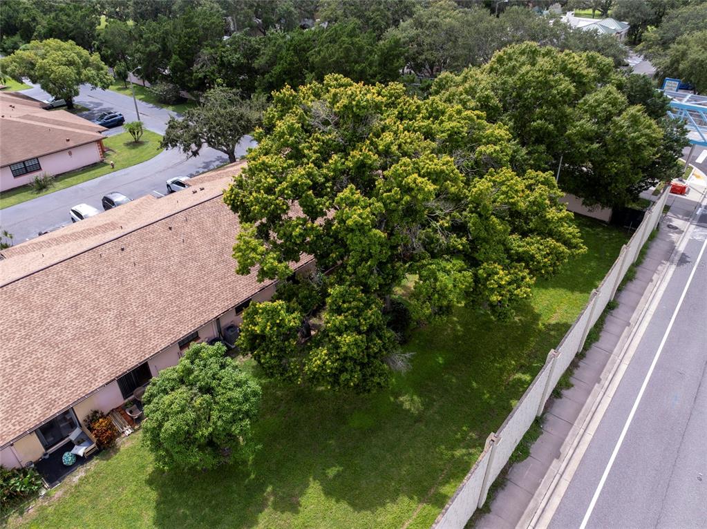 13250 Ridge Road, Unit 12 Largo, FL 33778 - Photo 23 of 24 Gallery Image 23