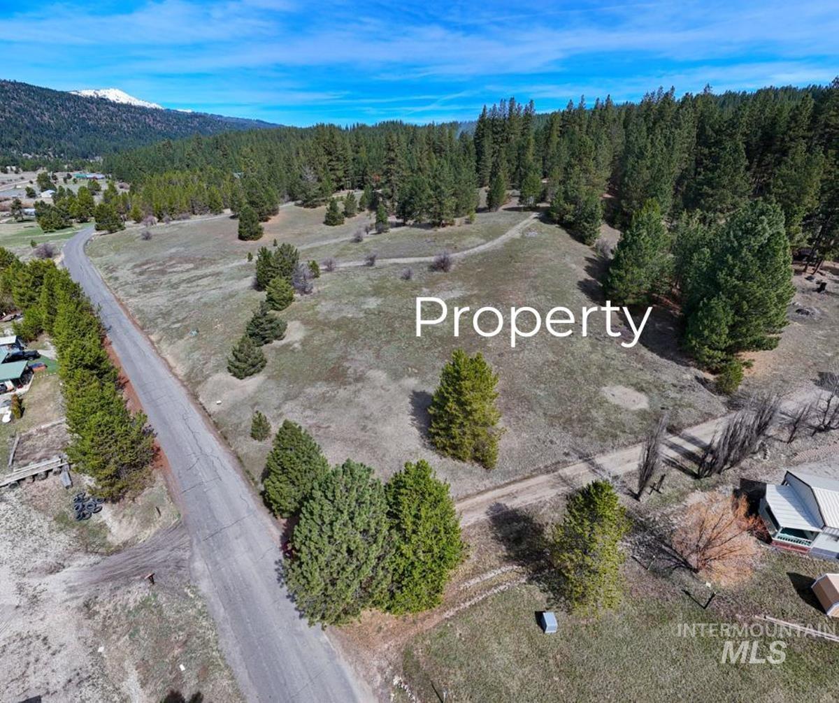 Ptn Lot 7 Packer John Road Cascade, ID 83611 - Photo 3 of 16