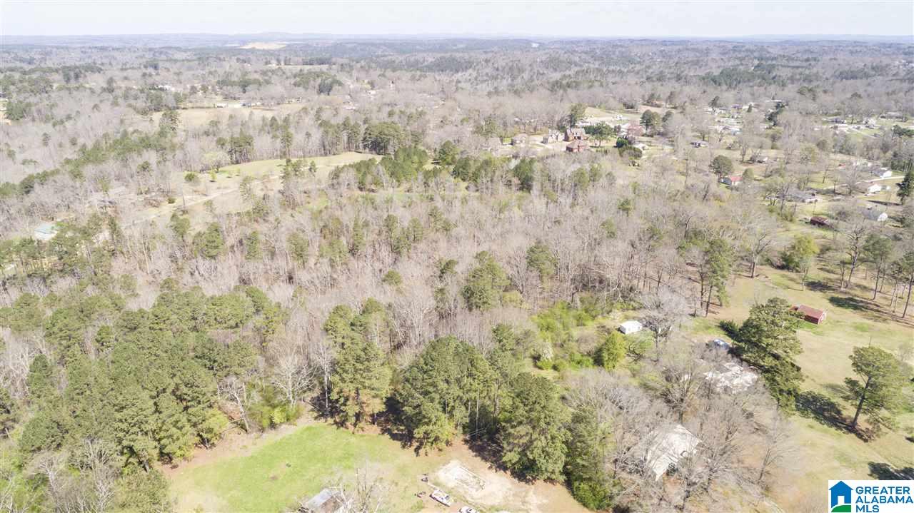 850 Rosemary Way Mount Olive, AL 35117 - Photo 8 of 12
