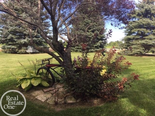 4775 McIntyre Road North Street, MI 48049 - Photo 64 of 69 50021870-63.JPG
