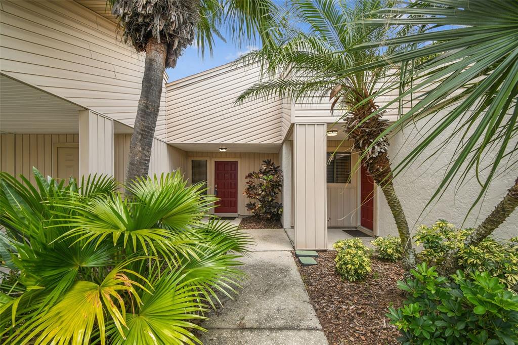 a view of a house with a small yard plants and palm trees