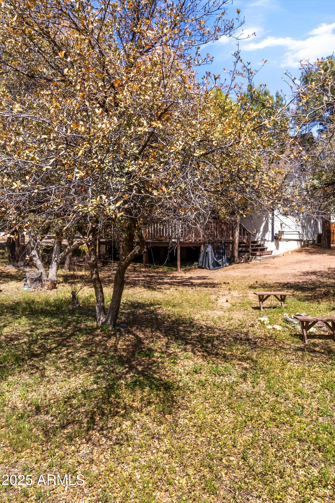 1101 East Frontier Street Payson, AZ 85541 - Photo 32 of 41 28-IMG_8962