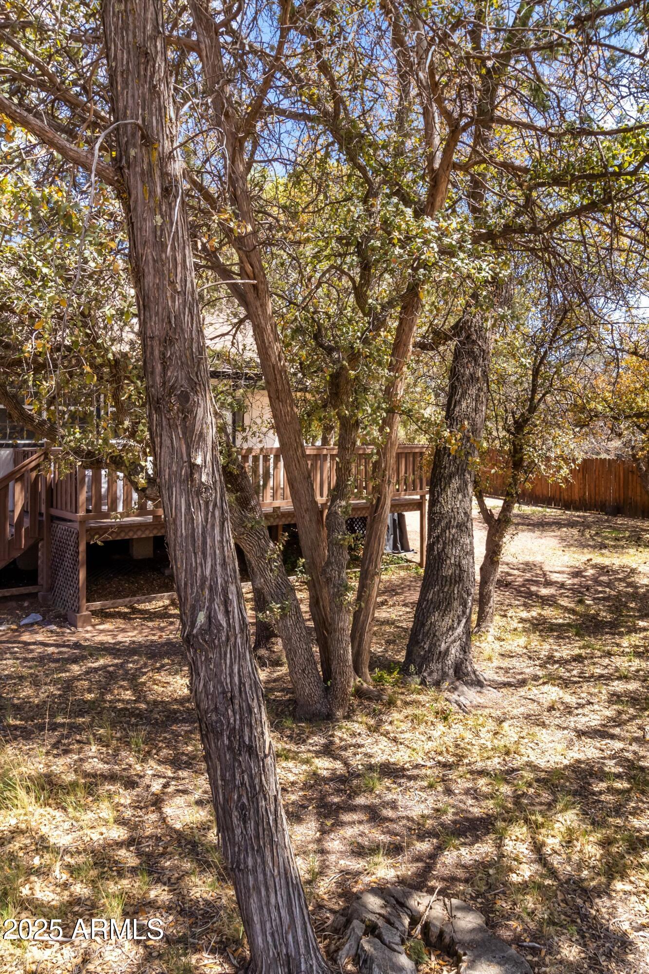 1101 East Frontier Street Payson, AZ 85541 - Photo 35 of 41 31-IMG_8974