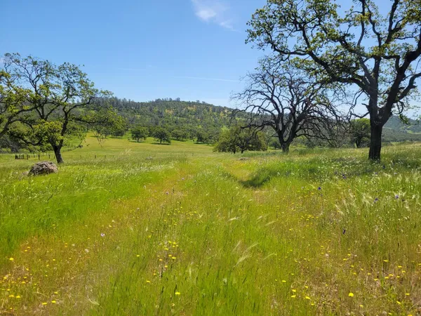 $275,000 | 0 Hammonton Bluff, Smartsville, CA 95977