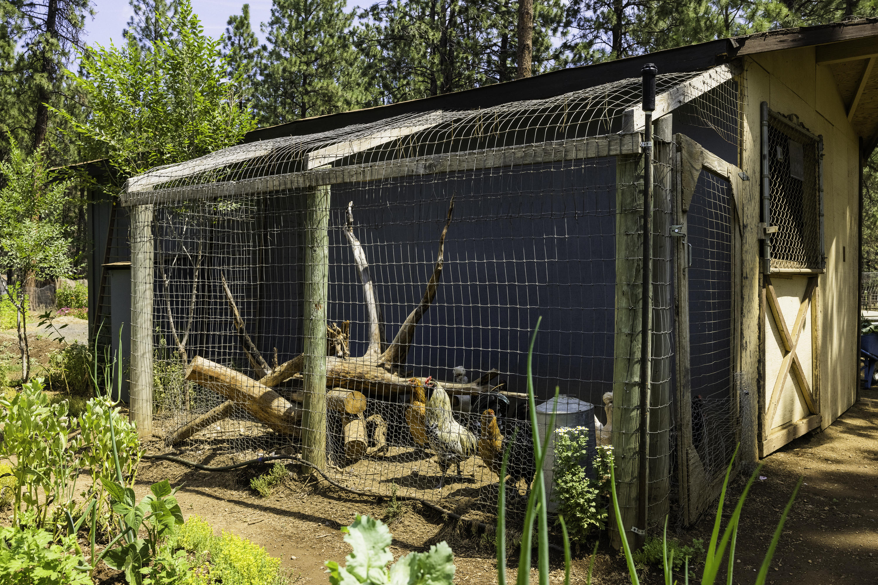 14631 Bluegrass Loop Sisters, OR 97759 - Photo 17 of 27 Chicken Coop on side of Well House/Storage