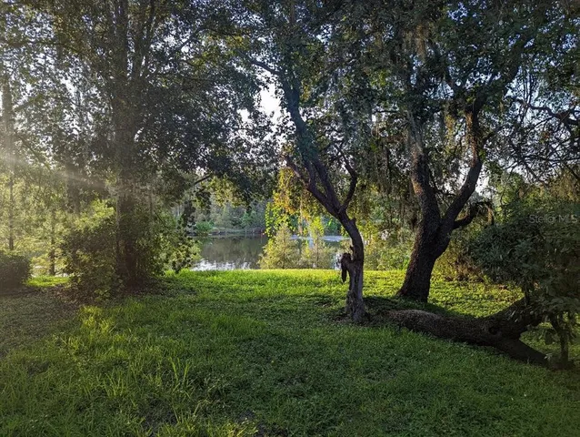 $2,000 | 18126 Birdwater Drive, Tampa, FL 33647