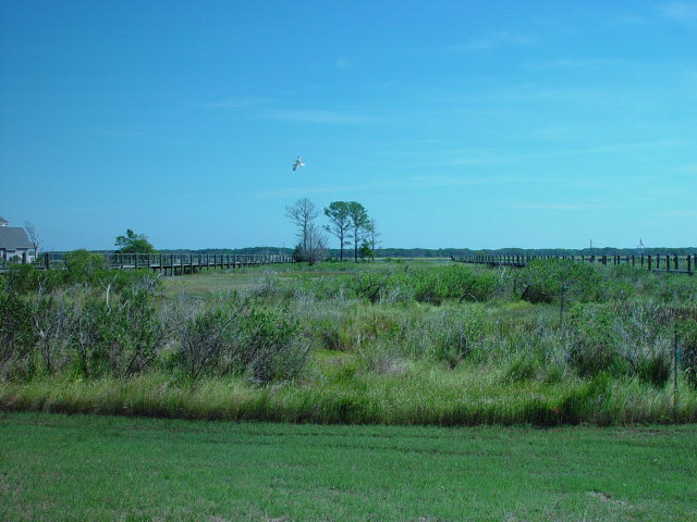 23 Ridge Road, Unit 23C Chincoteague Island, VA 23336 - Photo 3 of 10