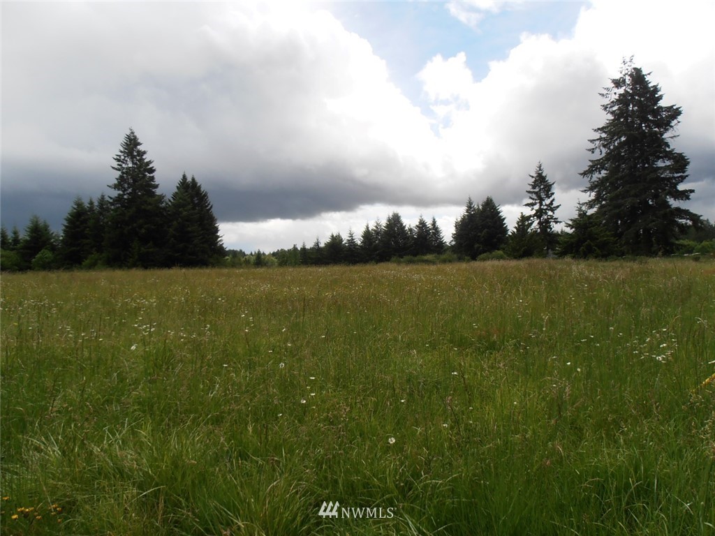 0 East Avery Road Napavine, WA 98532 - Photo 1 of 5