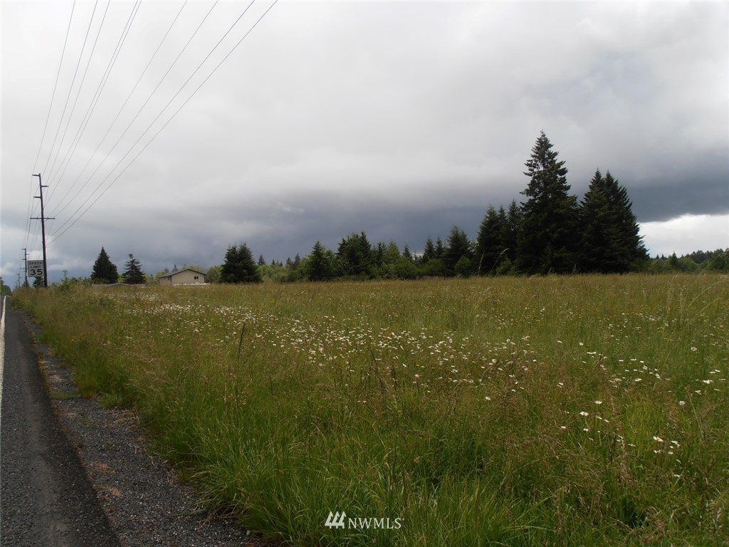 0 East Avery Road Napavine, WA 98532 - Photo 4 of 5
