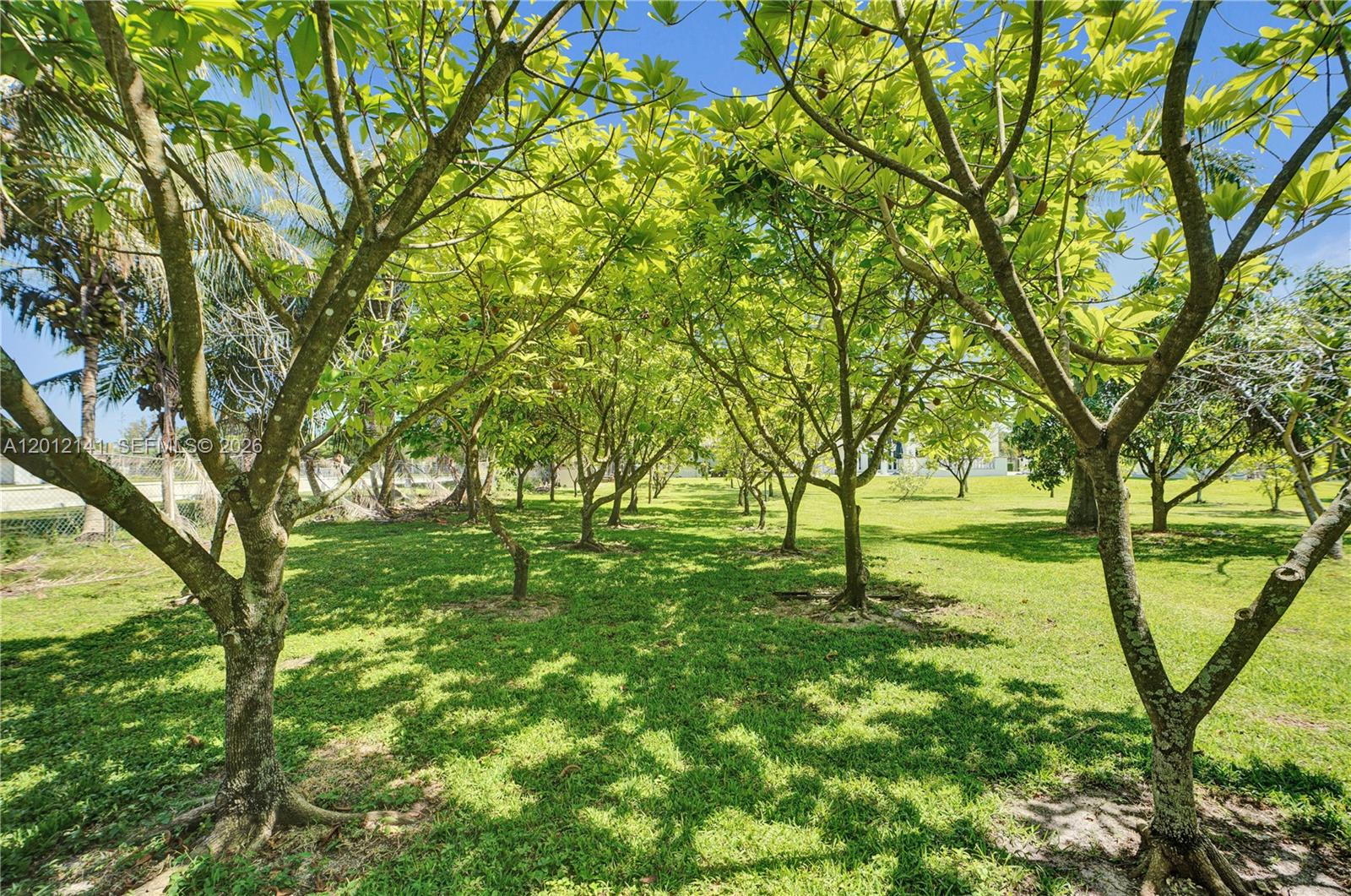 12401 Southwest 45th Street Miami, FL 33175 - Photo 71 of 79