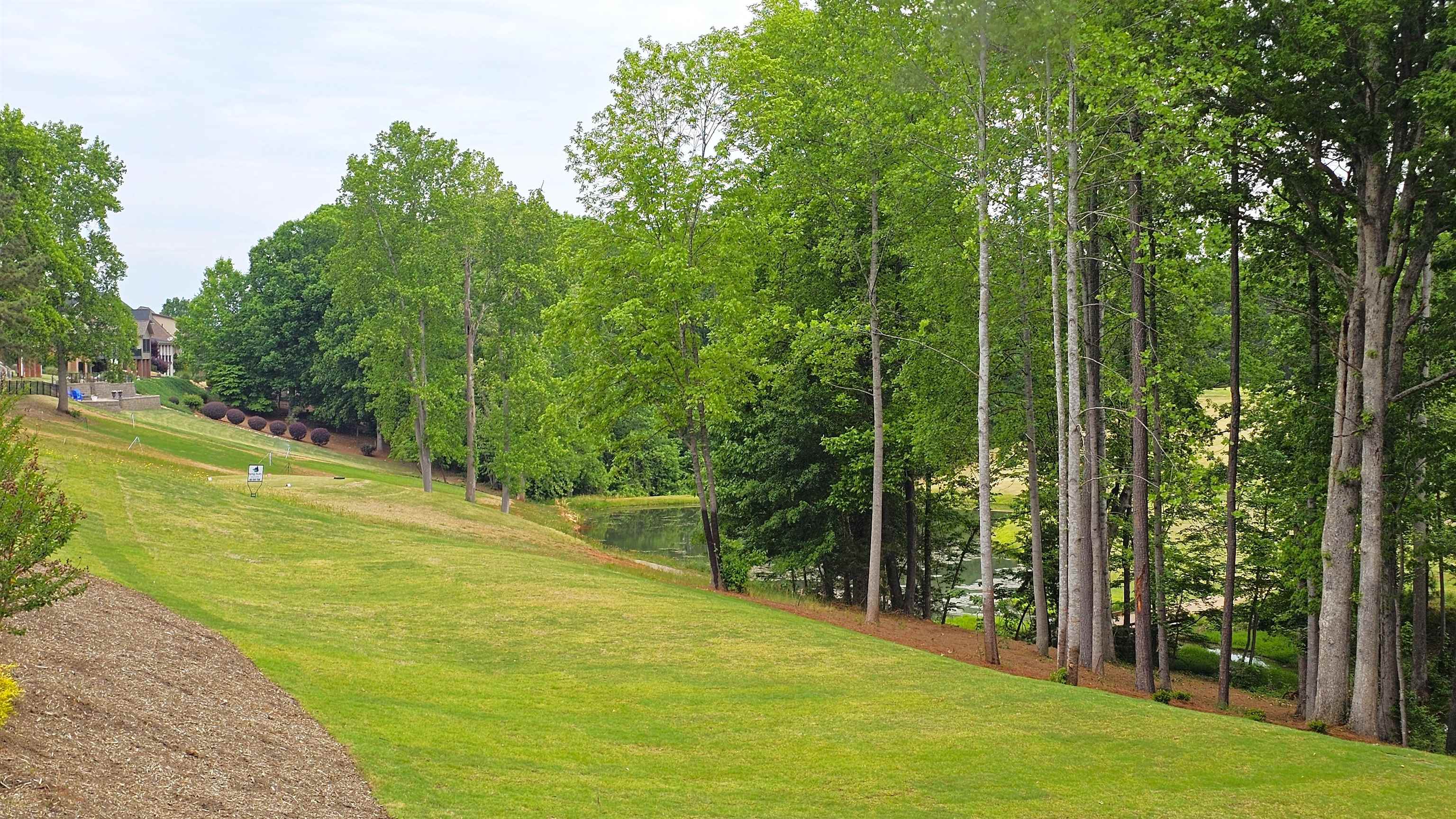 118 North Woodfin Ridge Drive Inman, SC 29349 - Photo 45 of 48