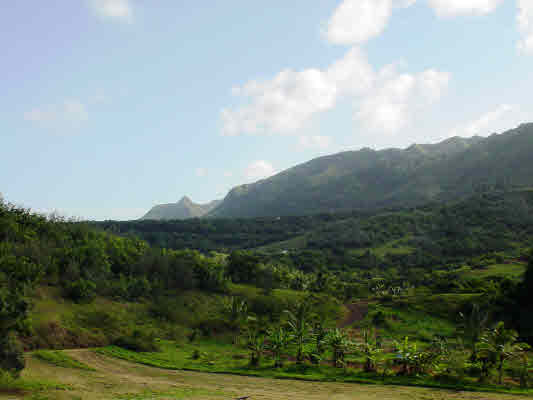 6751 P Koolau Road Kilauea, HI 96754 - Photo 1 of 5 a view of a town with mountains in the background