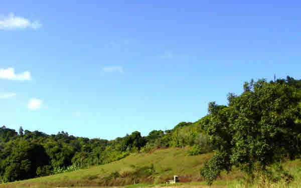 6751 P Koolau Road Kilauea, HI 96754 - Photo 4 of 5 a view of a lake with a forest