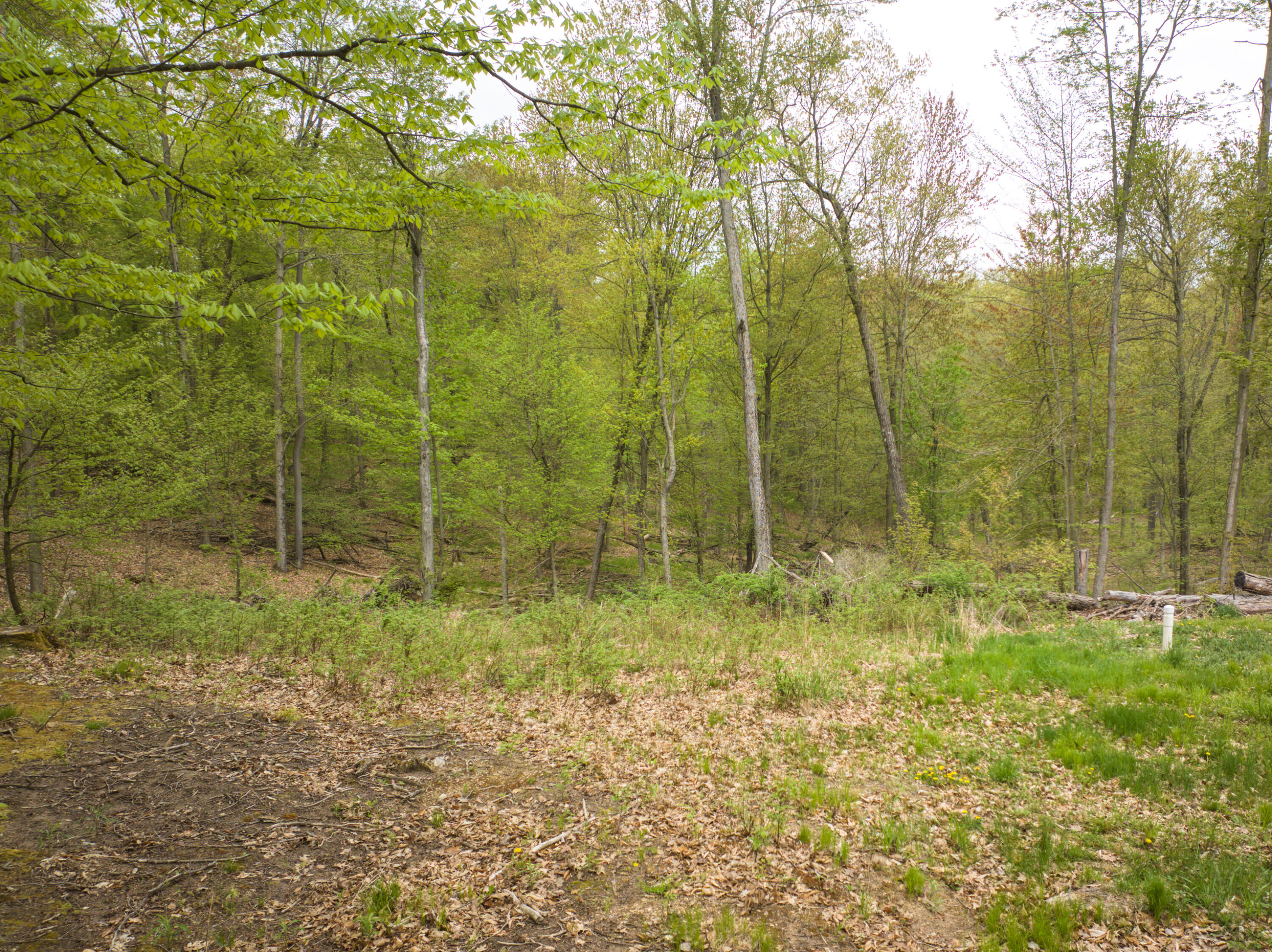 4848 Cutler Road Six Lakes, MI 48886 - Photo 15 of 23 DJI_20250427170441_0998_D_52