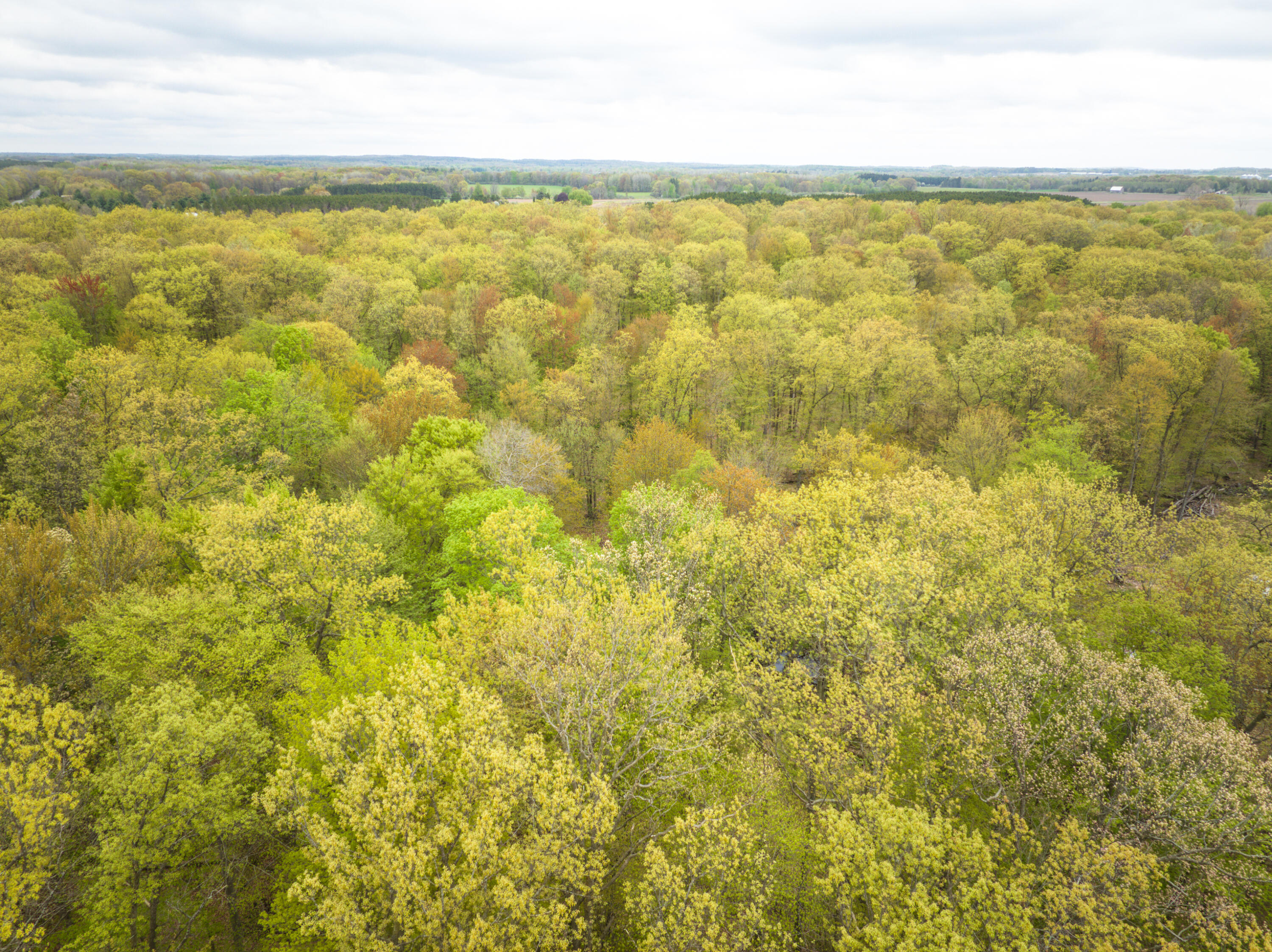 4848 Cutler Road Six Lakes, MI 48886 - Photo 16 of 23 DJI_20250427171114_0034_D_59
