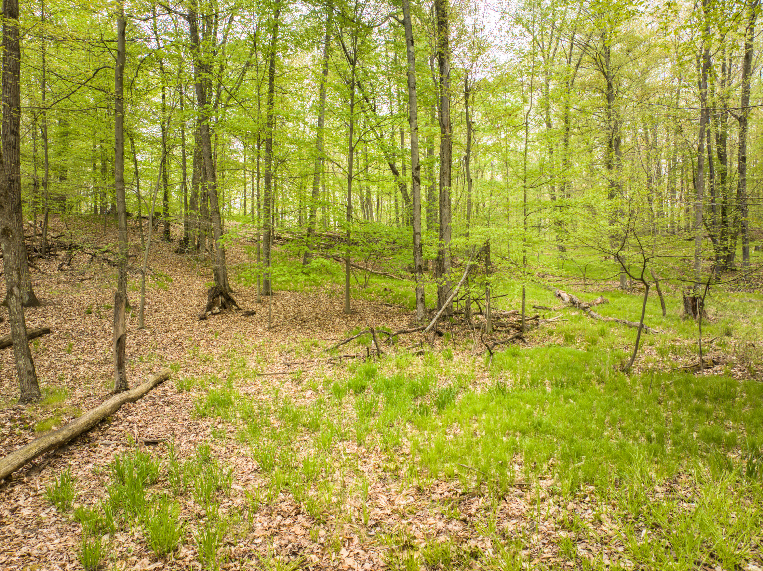 4848 Cutler Road Six Lakes, MI 48886 - Photo 3 of 23 DJI_20250427172008_0079_D_68