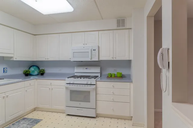 $289,000 | 6801 North Milwaukee Avenue, Unit 202, Niles, IL 60714