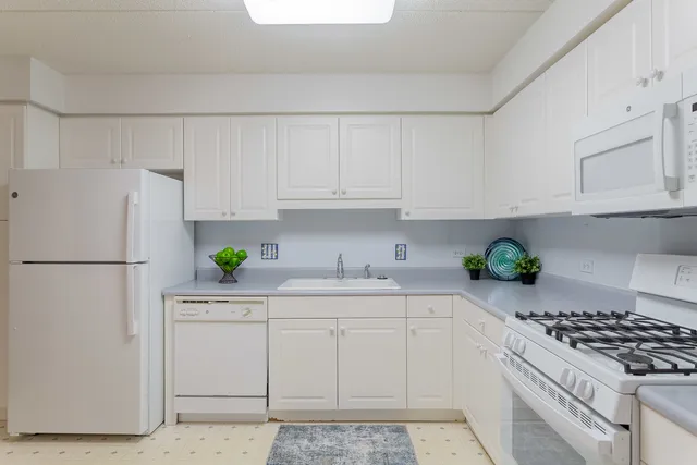 $289,000 | 6801 North Milwaukee Avenue, Unit 202, Niles, IL 60714