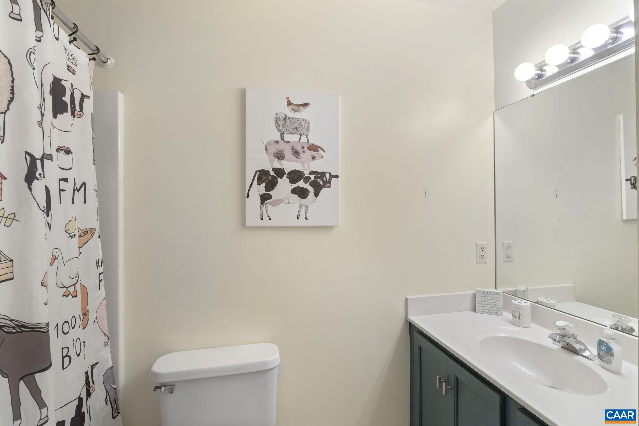 4 Clark Court Palmyra, VA 22963 - Photo 26 of 58 a bathroom with a sink mirror vanity and toilet