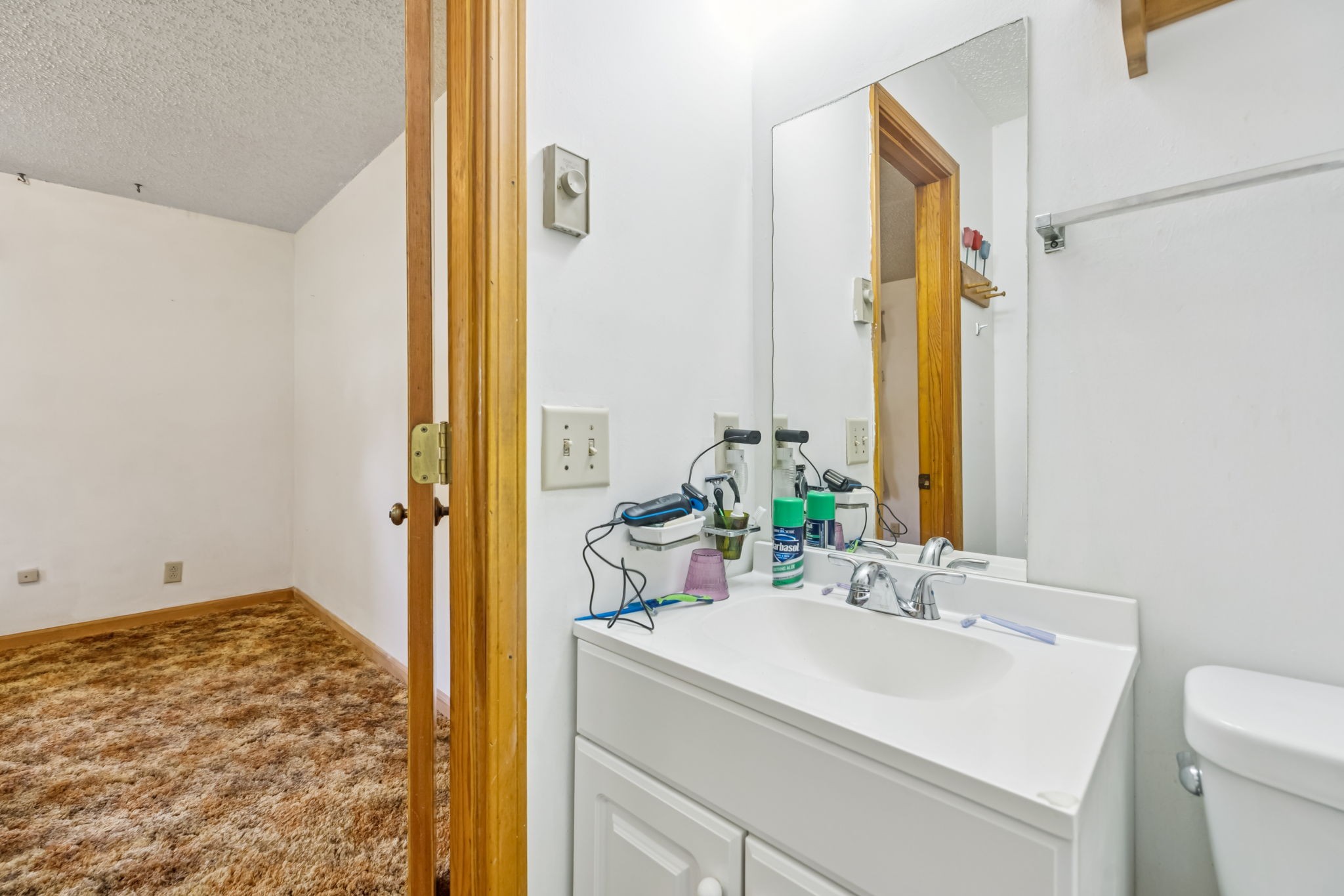 5165 Almaville Road Smyrna, TN 37167 - Photo 29 of 37 a bathroom with a sink and a mirror