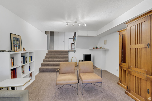 510 Spring Creek Road Providence, UT 84332 - Photo 46 of 97 Carpeted lower-level room featuring a built-in white shelving unit, track lighting, and a floating wall shelf