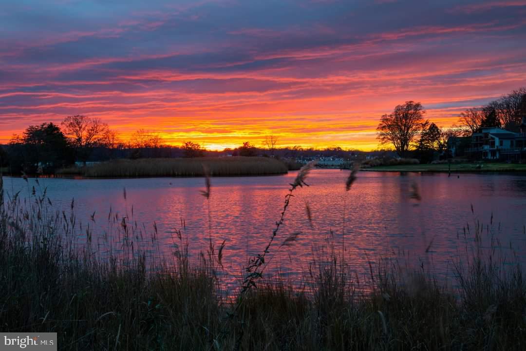 613 Harbor Drive Annapolis, MD 21403 - Photo 26 of 29