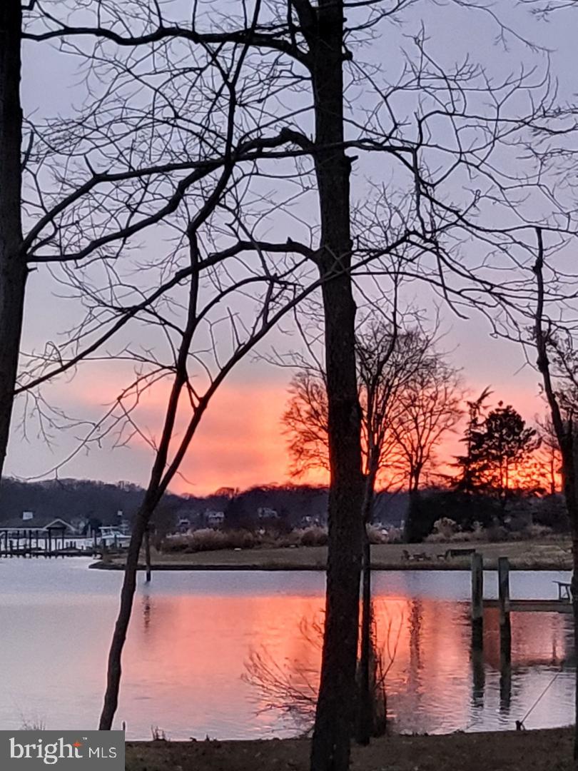 613 Harbor Drive Annapolis, MD 21403 - Photo 28 of 29