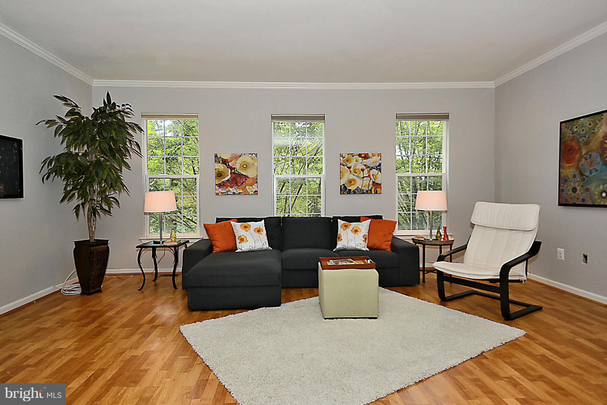 9425 Fields Road Gaithersburg, MD 20878 - Photo 6 of 30 Living Room