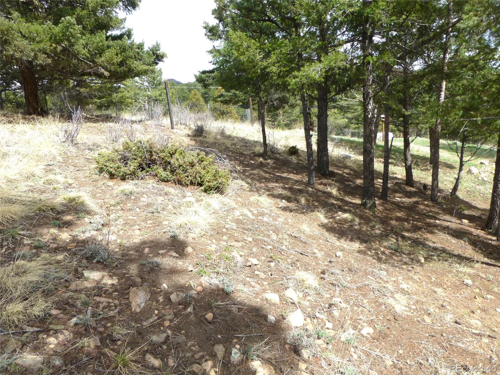 13012 South Wamblee Valley Road Conifer, CO 80433 - Photo 31 of 33 Gallery Image 31