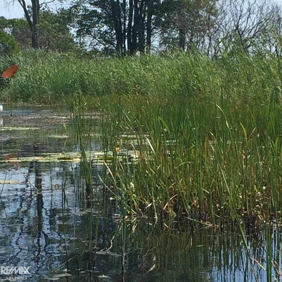 0 Columbine Road Harsens Island, MI 48028 - Photo 6 of 11