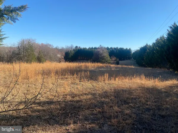 a view of a field with trees in the background