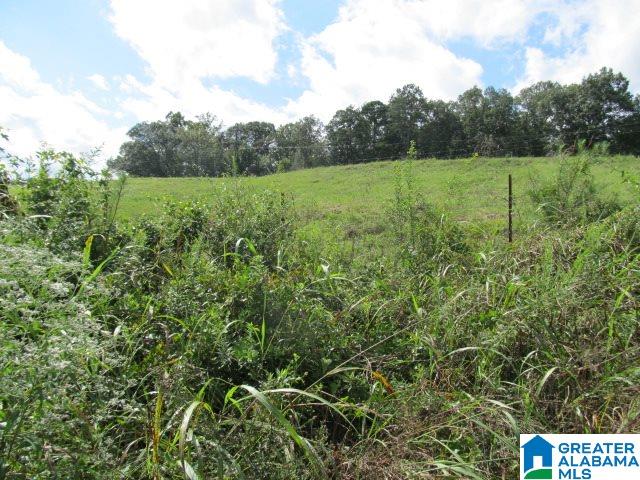 79 Highway 79, Unit 33 Cleveland, AL 35049 - Photo 30 of 32
