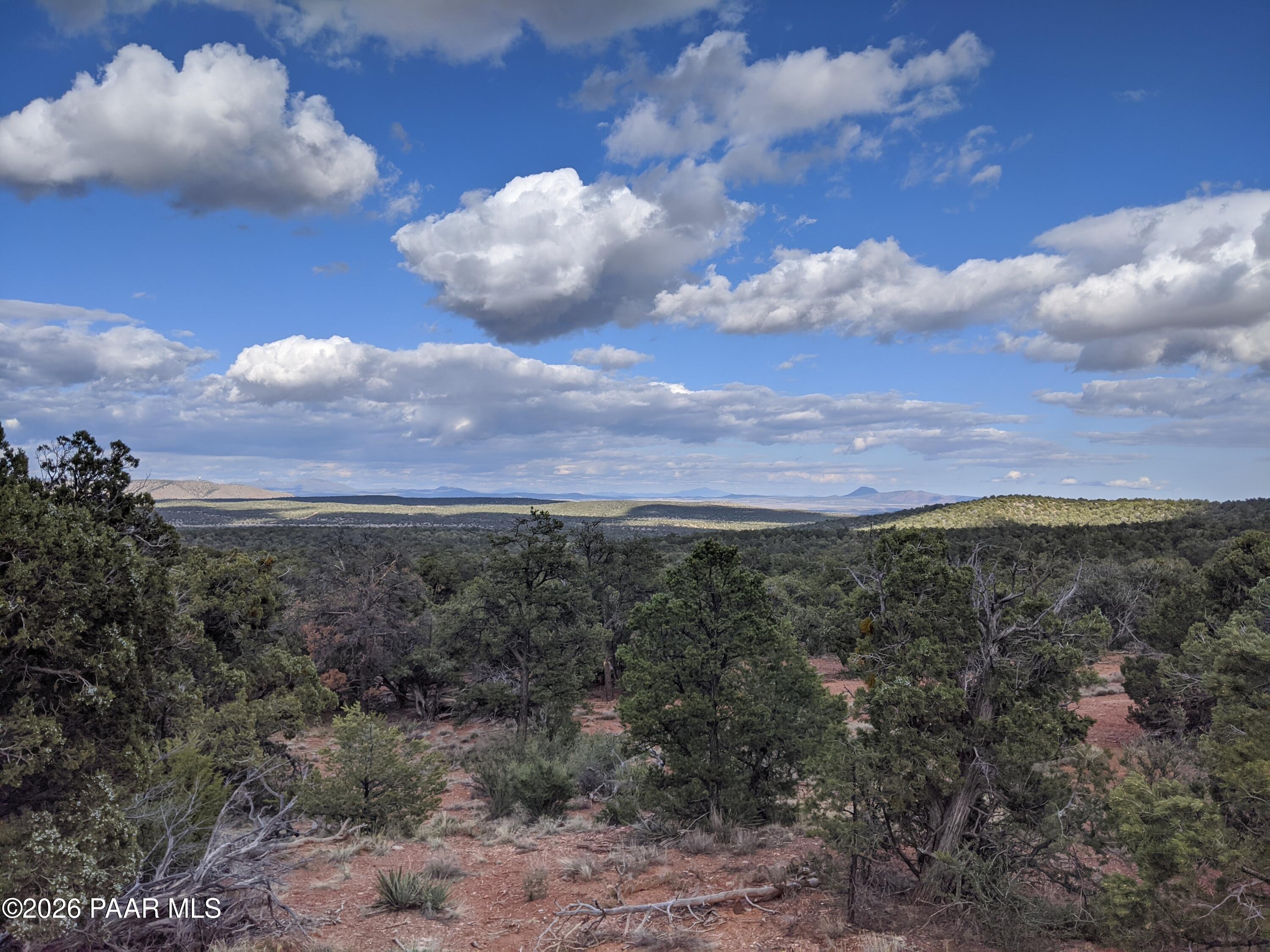 33749 West Whiskey River Road, Unit 21 Seligman, AZ 86337 - Photo 26 of 41 a view of a sky