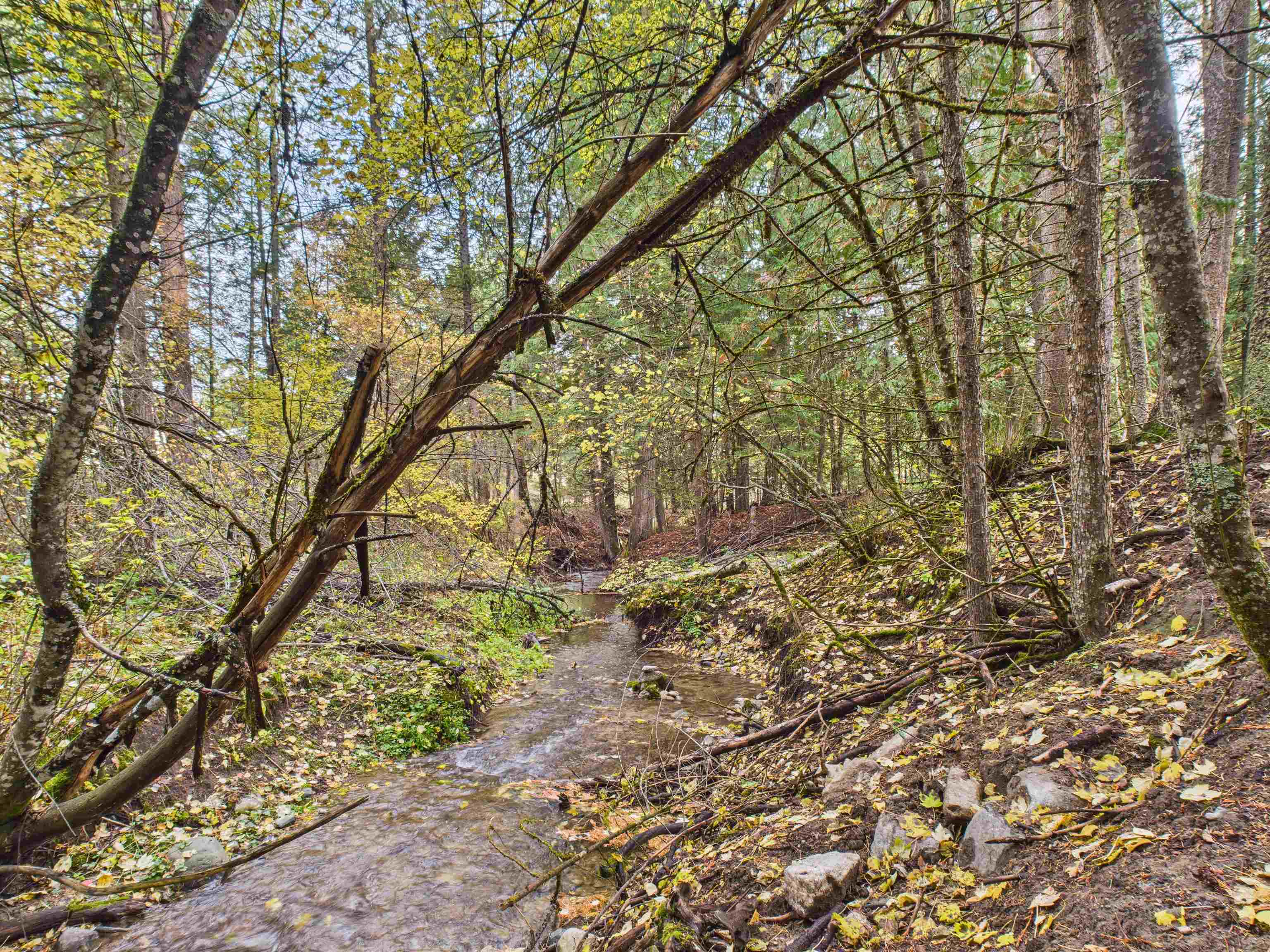 2313 Hickey Way Addy, WA 99101 - Photo 45 of 46