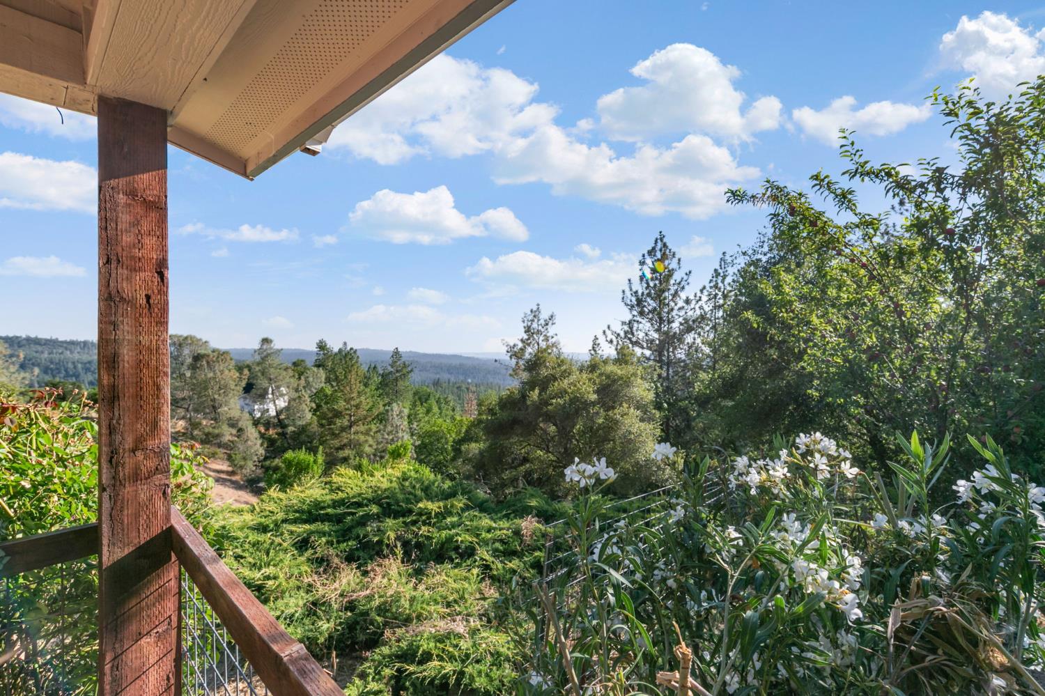2970 Texas Hill Road Placerville, CA 95667 - Photo 37 of 54