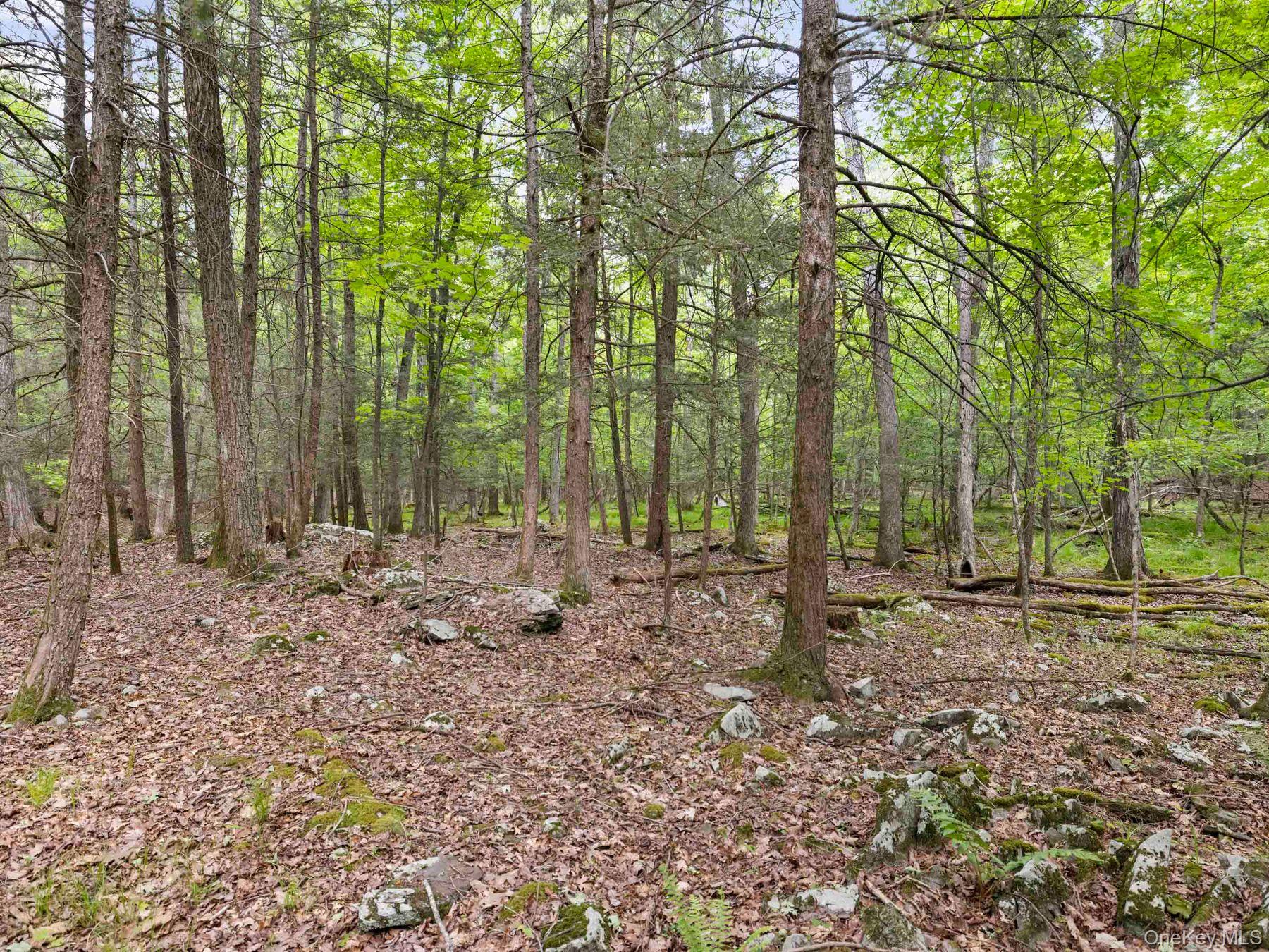 40 Mamoud Hills Road Kingston, NY 12401 - Photo 31 of 42 a view of outdoor space with lots of trees