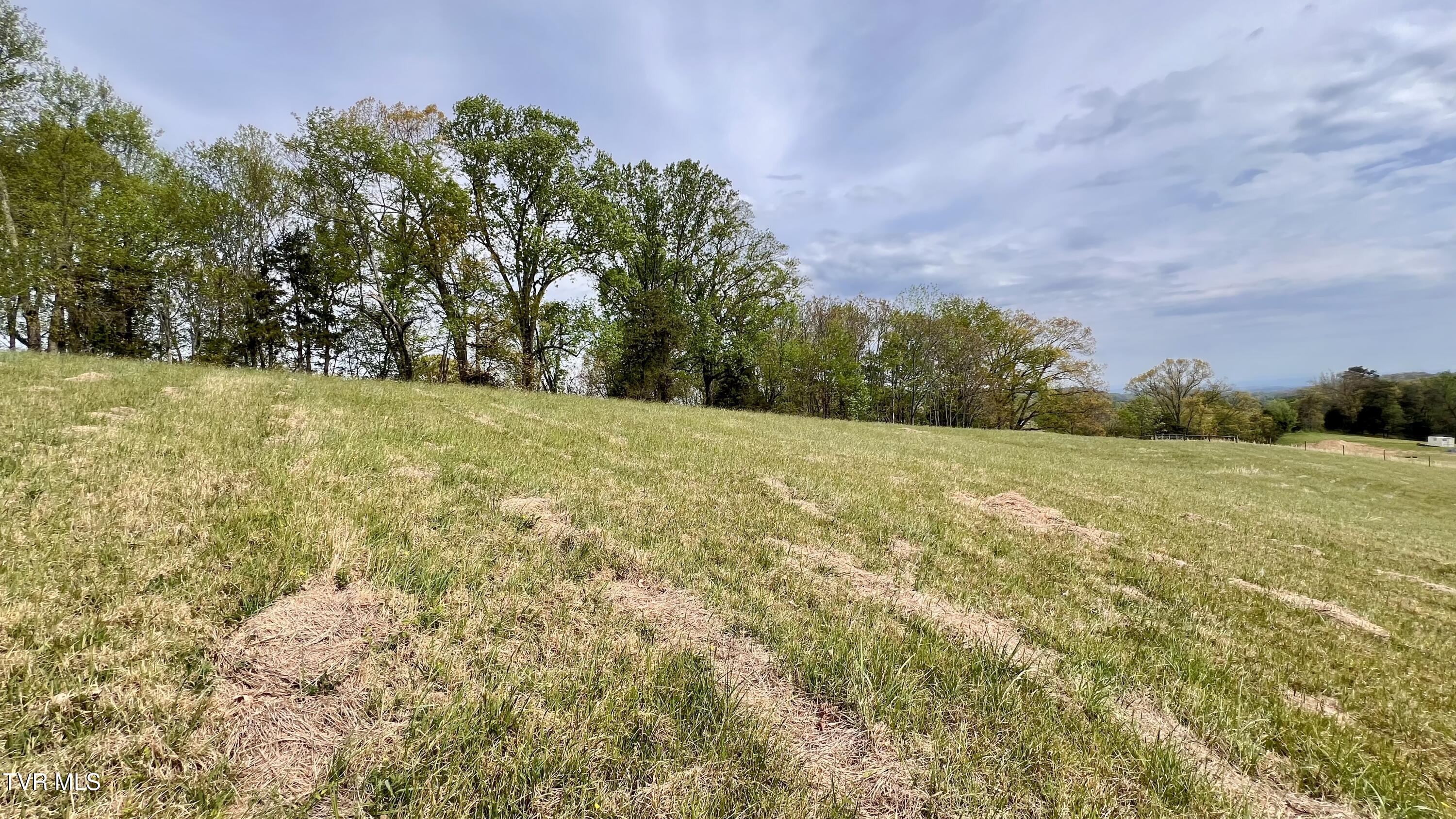 10.25-ac Jackson Road, Unit 11 12 Fall Branch, TN 37656 - Photo 21 of 29 IMG_1289
