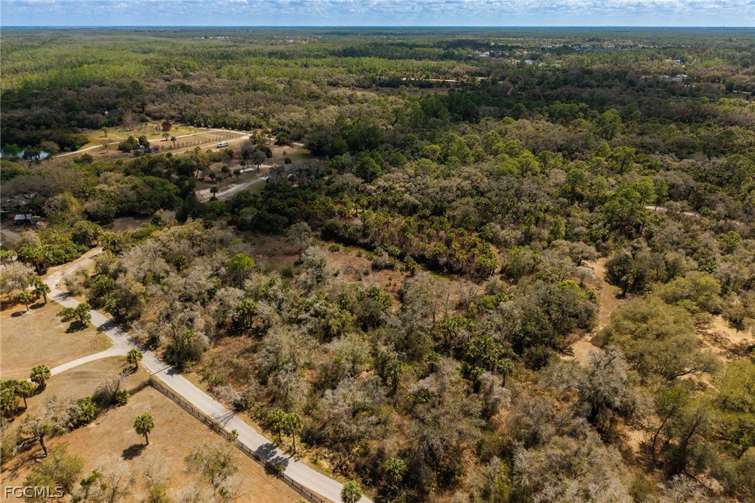 3751 Bateman Road Alva, FL 33920 - Photo 20 of 26 a view of a field with an ocean view