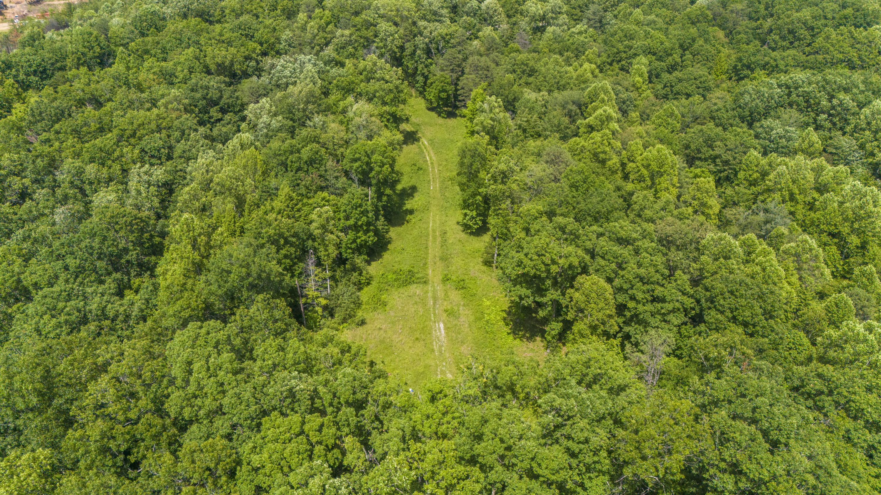 0 Shoemaker Ridge Zoe, KY 41397 - Photo 26 of 33 DJI_20250608153037_0055_D