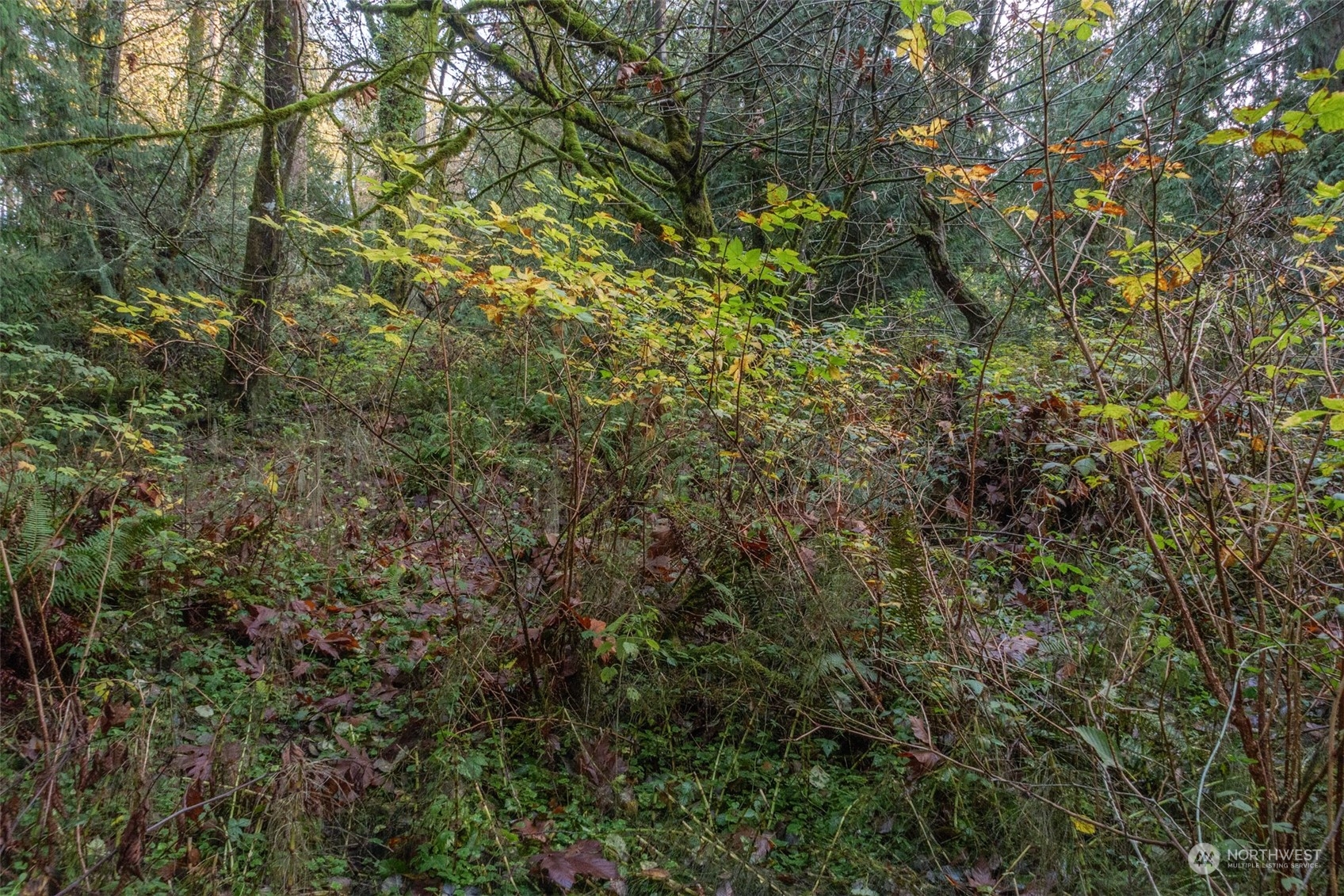 12173 Southwest Cedarhurst Road Vashon, WA 98070 - Photo 11 of 13