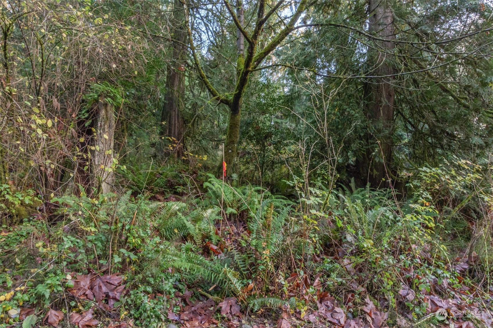 12173 Southwest Cedarhurst Road Vashon, WA 98070 - Photo 2 of 13