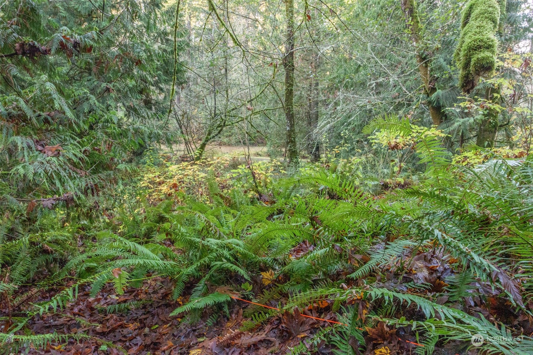 12173 Southwest Cedarhurst Road Vashon, WA 98070 - Photo 5 of 13
