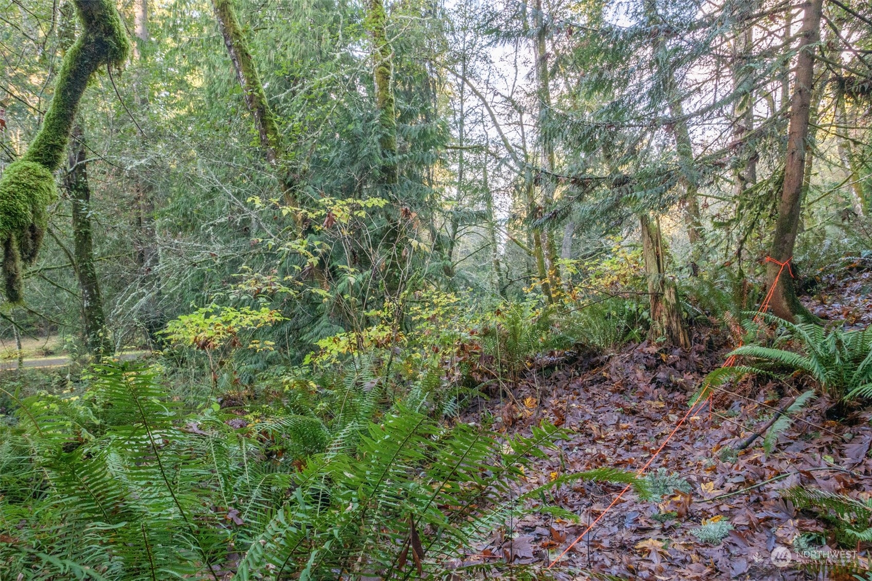 12173 Southwest Cedarhurst Road Vashon, WA 98070 - Photo 7 of 13
