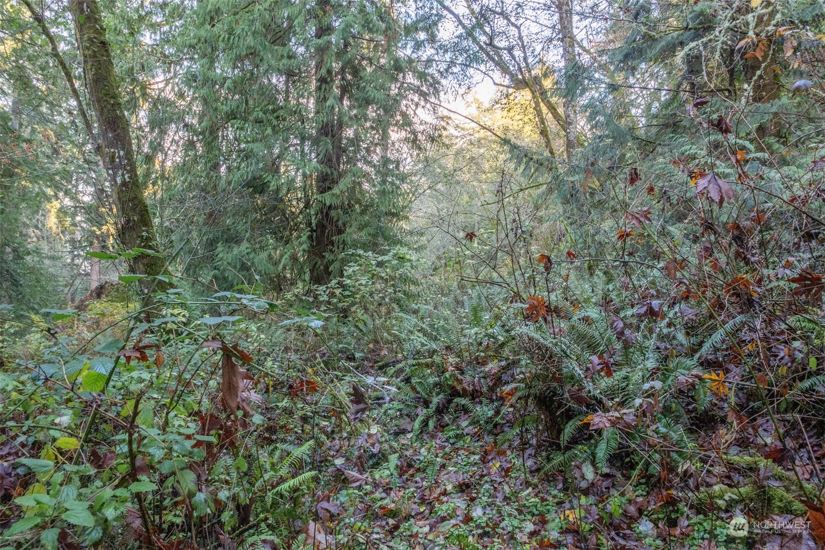 12173 Southwest Cedarhurst Road Vashon, WA 98070 - Photo 9 of 13