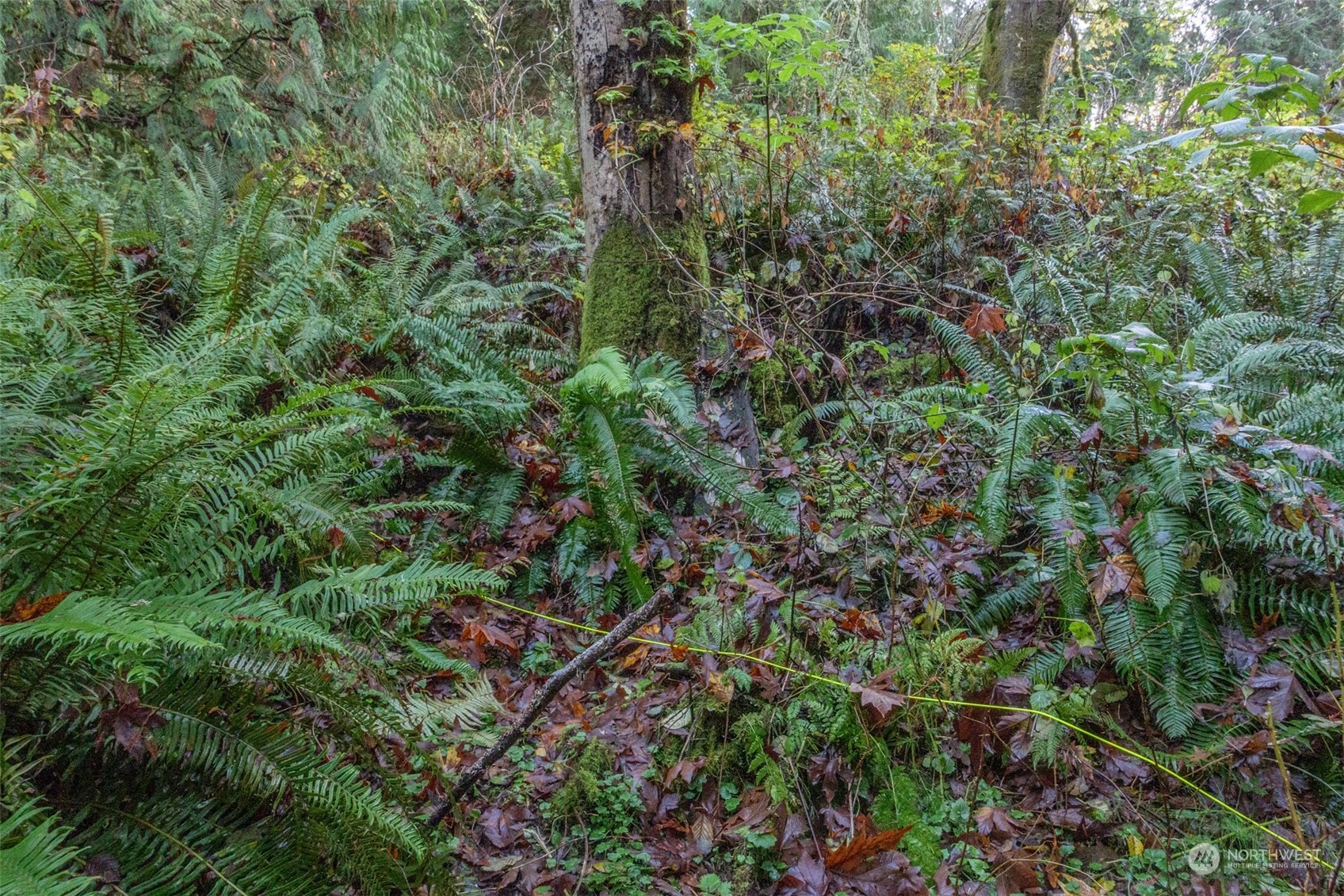 12173 Southwest Cedarhurst Road Vashon, WA 98070 - Photo 10 of 13