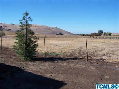 28133 Thermal Road Sanger, CA 93657 - Photo 11 of 26 Additional Photo
