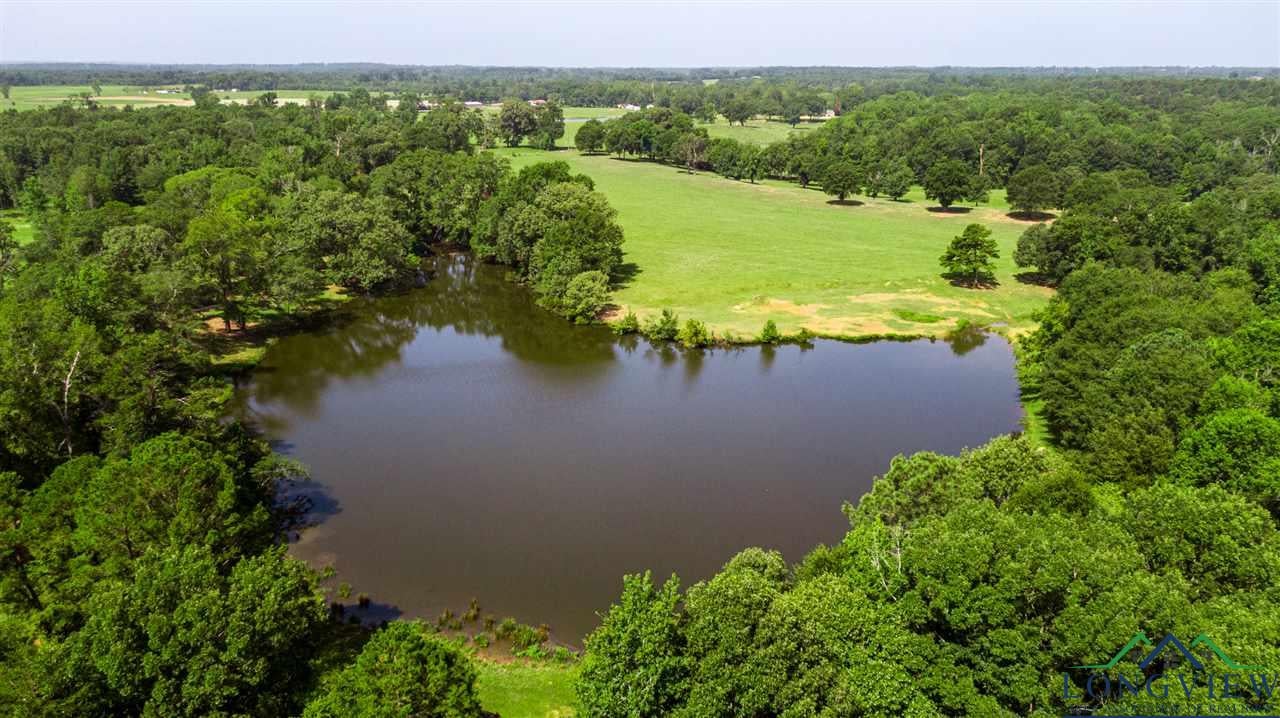 4218 Orbe Road Naples, TX 75568 - Photo 14 of 27 Gallery Image 14
